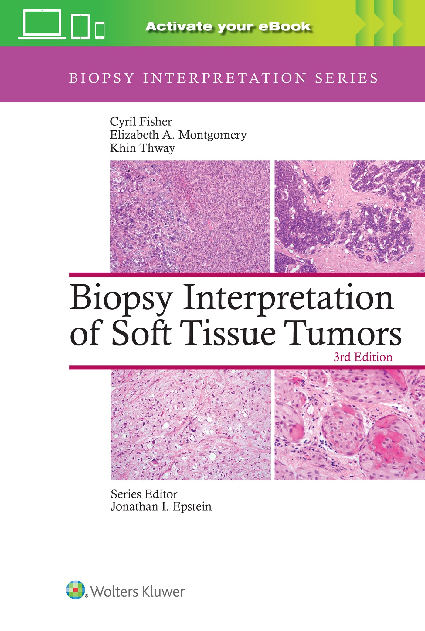 Biopsy Interpretation of Soft Tissue Tumors: Print + eBook with Multimedia
