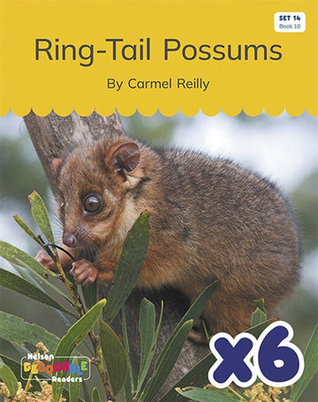  Ring-Tail Possums x 6 (Set 14, Book 10)