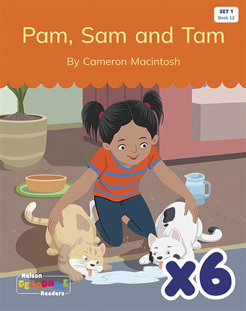  Pam, Sam and Tam x 6 (Set 1, Book 12)