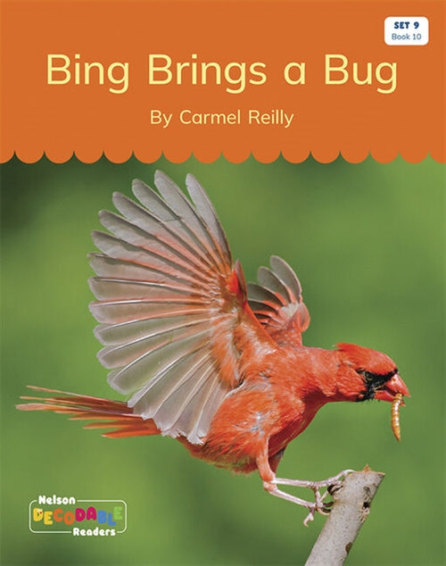  Bing Brings a Bug (Set 9, Book 10)