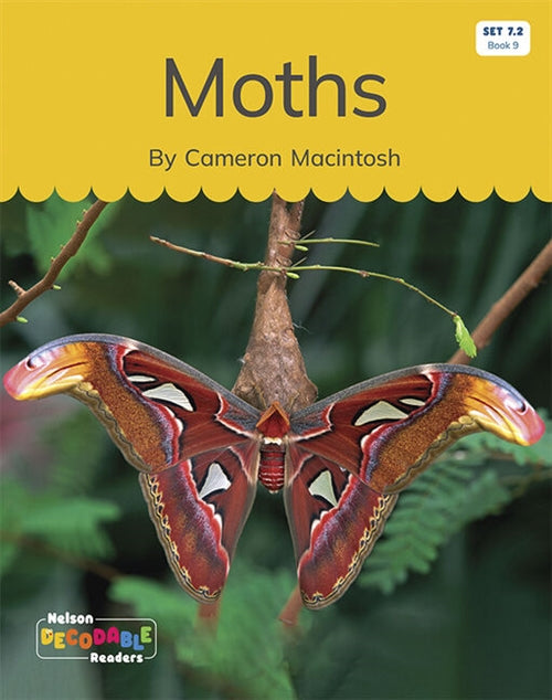 Moths (Set 7.2, Book 9)