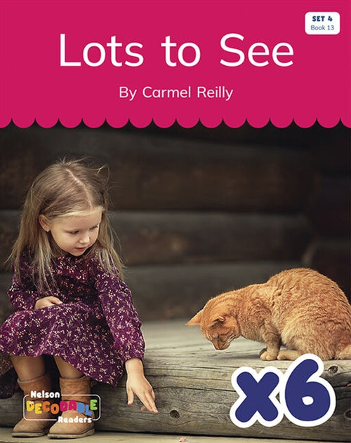  Lots to See x 6 (Set 4, Book 13)