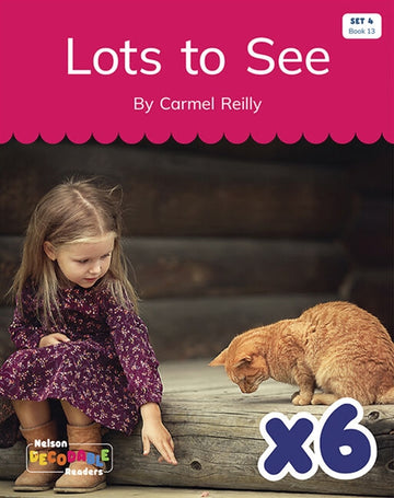  Lots to See x 6 (Set 4, Book 13)