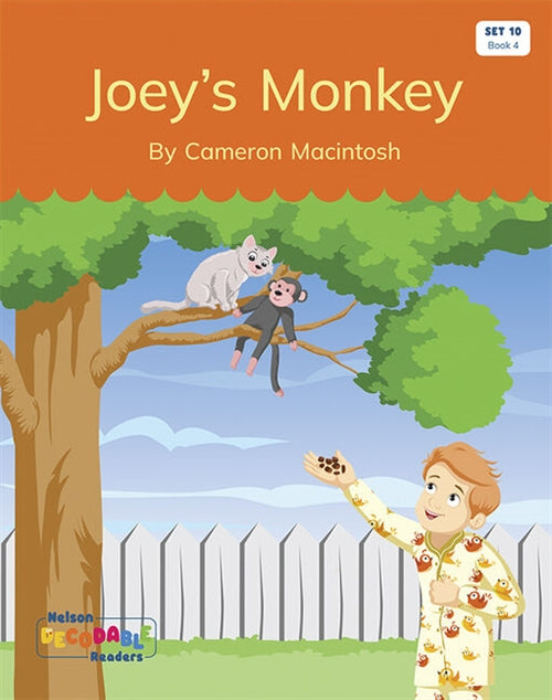  Joey's Monkey (Set 10, Book 4)