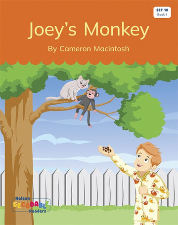  Joey's Monkey (Set 10, Book 4)