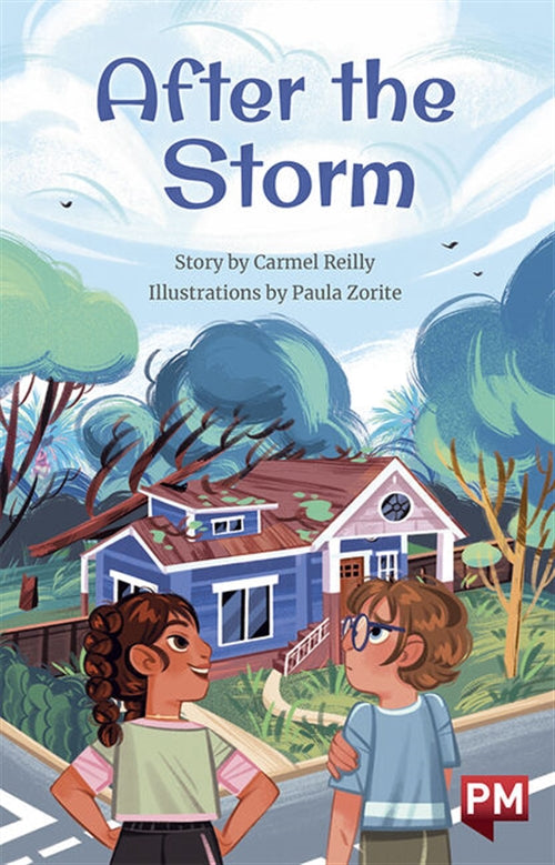  After the Stormn