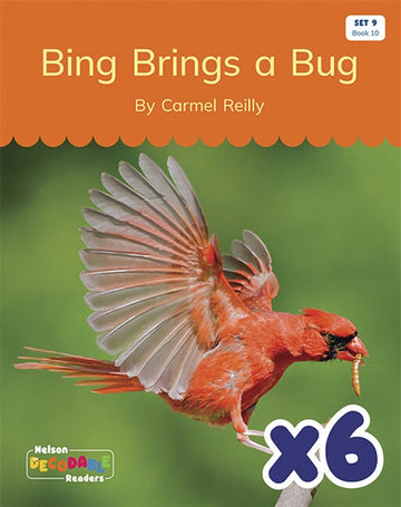  Bing Brings a Bug x 6 (Set 9, Book 10)