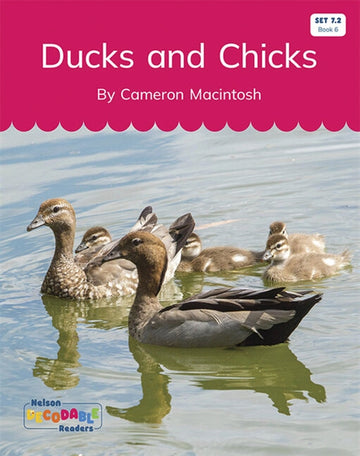  Ducks and Chicks (Set 7.2, Book 6)