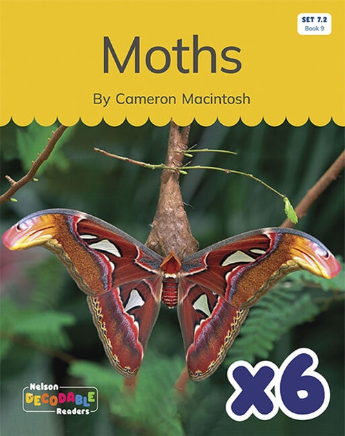  Moths x 6 (Set 7.2, Book 9)