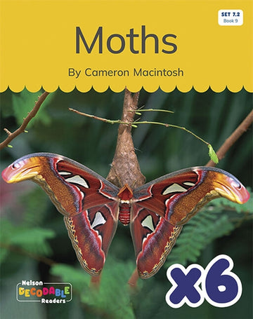  Moths x 6 (Set 7.2, Book 9)