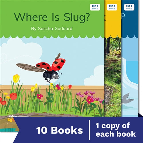 Nelson Decodable Readers Set 9 X 10