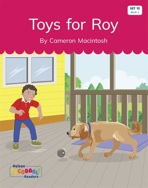  Toys for Roy (Set 13, Book 1)