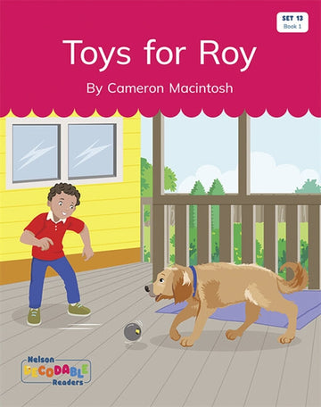  Toys for Roy (Set 13, Book 1)