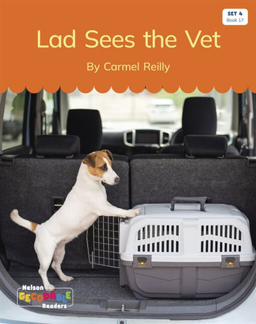  Lad Sees the Vet (Set 4, Book 17)