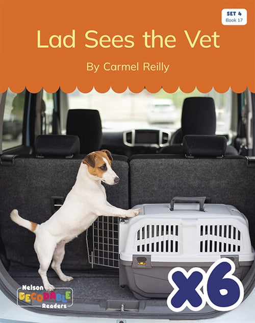  Lad Sees the Vet x 6 (Set 4, Book 17)