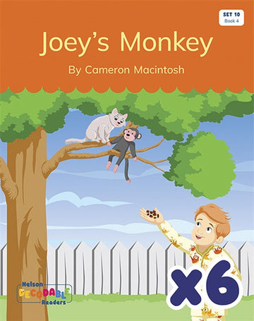 Joey's Monkey x 6 (Set 10, Book 4)