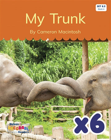  My Trunk x 6 (Set 8.2, Book 4)
