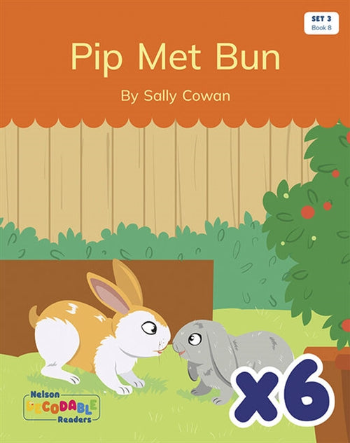  Pip Met Bun x 6 (Set 3, Book 8)