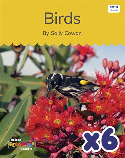  Birds x 6 (Set 11, Book 6)