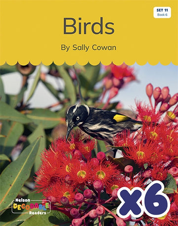  Birds x 6 (Set 11, Book 6)