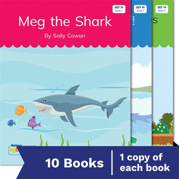 Nelson Decodable Readers Set 11 X 10