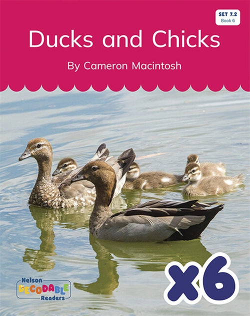  Ducks and Chicks x 6 (Set 7.2, Book 6)