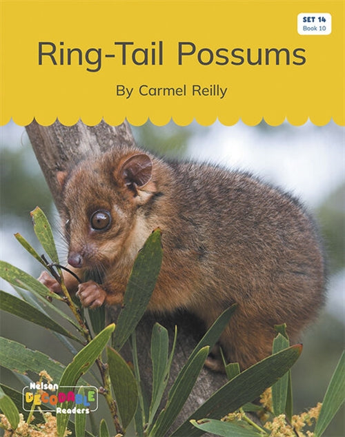  Ring-Tail Possums (Set 14, Book 10)