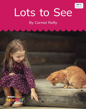  Lots to See (Set 4, Book 13)