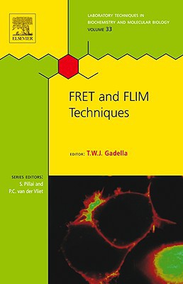 FRET and FLIM Techniques, Volume 33