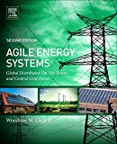 Agile Energy Systems: On-site Power and Central Grid