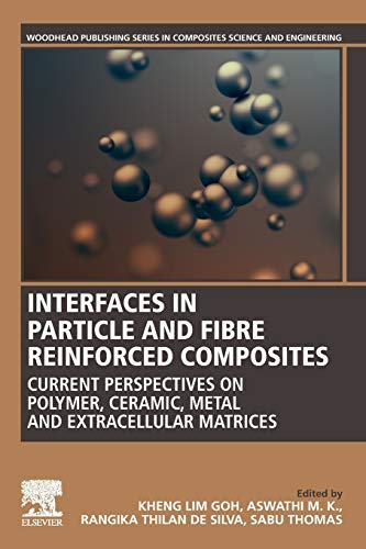 Interfaces In Particle Reinforced Composites: From Macro to Nano Scales