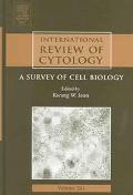 International Review Of Cytology V241