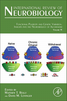 Functional Plasticity and Genetic Variation:  Insights into the Neurobiology of Alcoholism