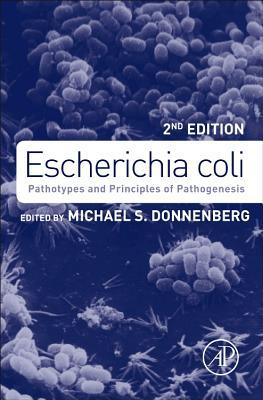 E. coli, 2e
