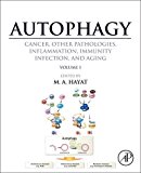 Autophagy, Cancer, Other Pathologies, Inflammation, Immunity and