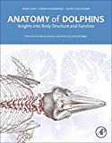 Anatomy of Dolphins