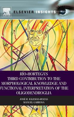 R�o-Hortega�s Third Contribution to the Morphological Knowledge and Functional Interpretation of the Oligodendroglia