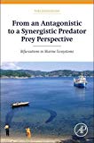 From an Antagonistic to a Synergistic Predator Prey Perspective