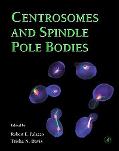 Centrosomes and Spindle Pole Bodies