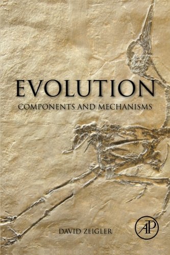 Evolution 1E
