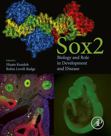Sox2: Biology and Role in Development and Disease