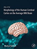 Atlas of the Morphology and Cytoarchitecture of the Human Cerebral Cortex on the Average MNI Brain