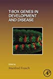 T-box Genes in Development and Disease