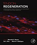 Tendon Regeneration