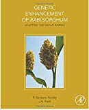 Genetic Enhancement of Rabi Sorghum