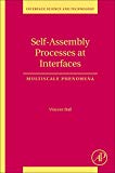 Self-Assembly Processes at Interfaces: Multiscale Phenomena