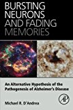 Bursting Neurons and Fading Memories