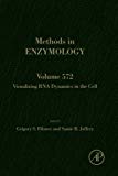 Visualizing RNA Dynamics in the Cell