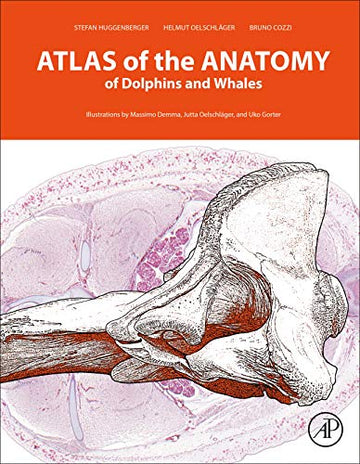 An Interactive Atlas of the Anatomy of Dolphins