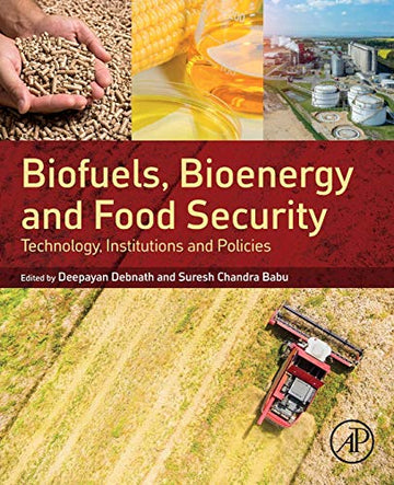 Biofuels, Bioenergy and Food Security: Technology, Institutions and Policies